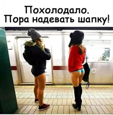 Прикрепленное изображение: 322862671_1188824898509846_8384458054205454227_n.jpg